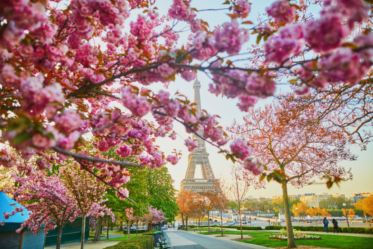 View of Paris in the spring with eiffel tower in the background