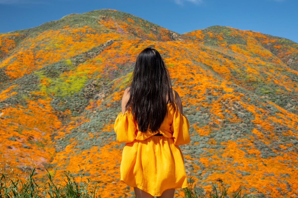 These Are The Top National Parks For Your Chance To See The Spring Superbloom